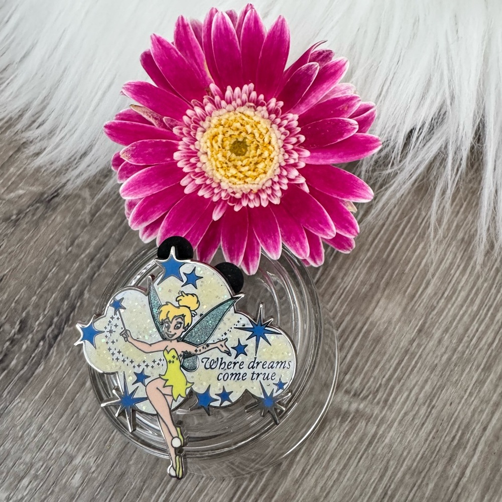 🩵 Walt Disney World Tinker Bell Where Dreams Come True Pixie Cast Exclusive Pin